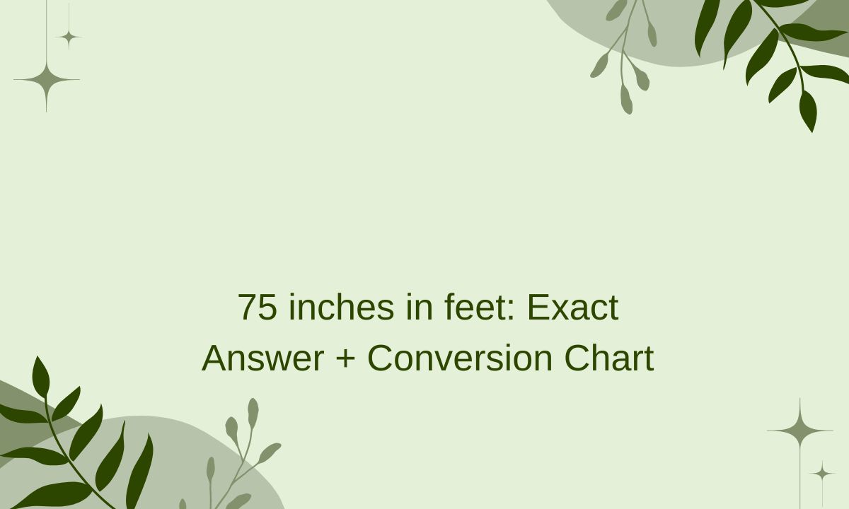 75 inches in feet