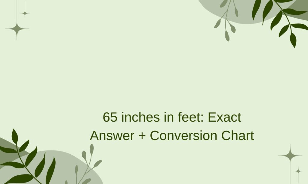 65 inches in feet