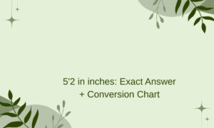 5’2 in inches: Exact Answer + Easy Conversion Chart - inchesx.com