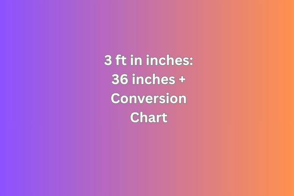 3 ft in inches